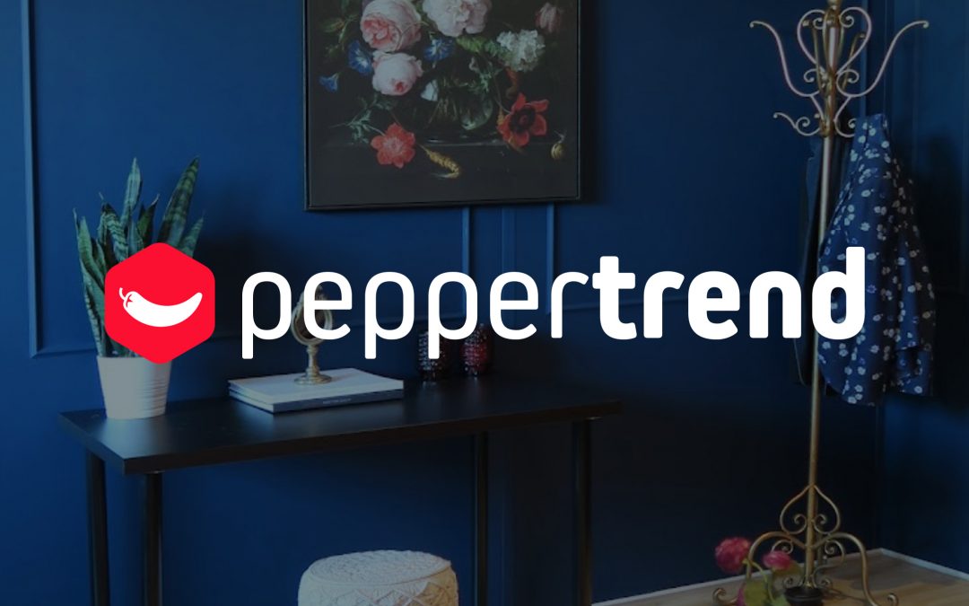 Logo huisstijl webshop voor Peppertrend